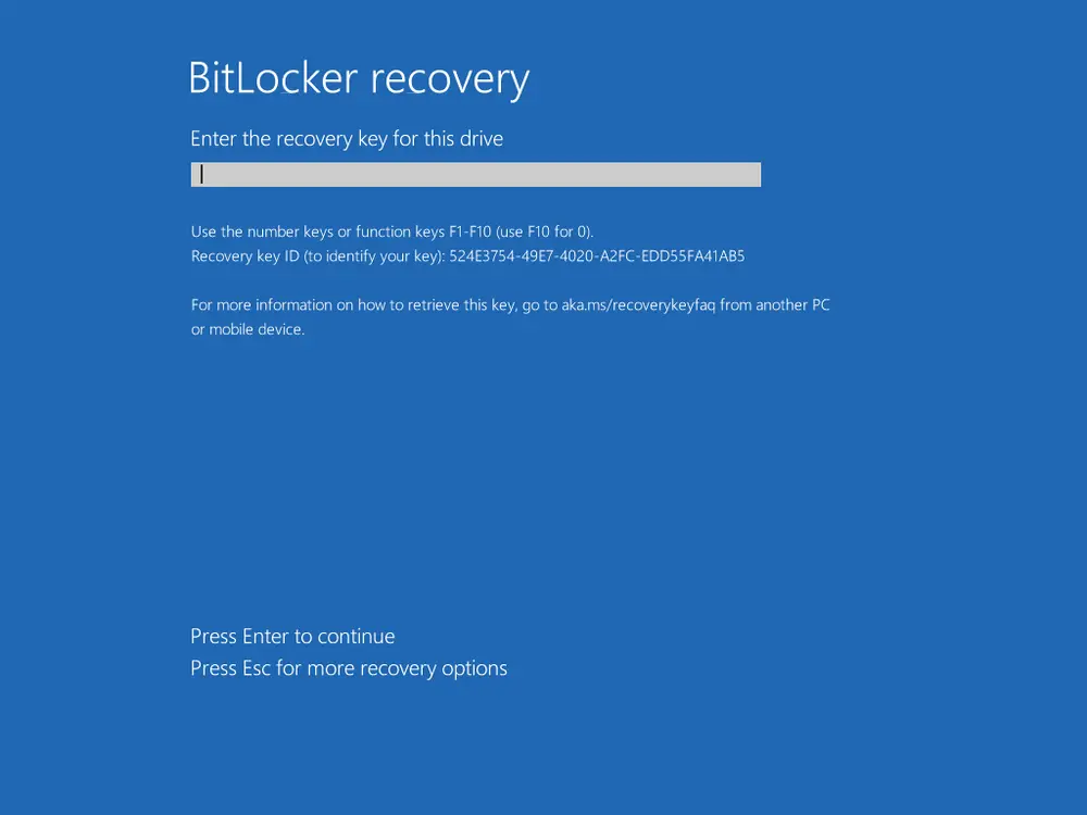 BitLocker recovery screen before Windows starts – Enter the recovery key for this drive, with the key ID for identification